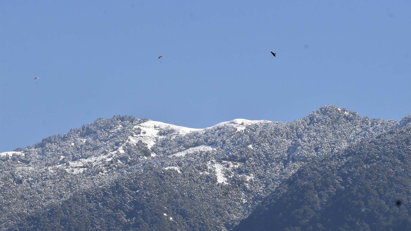 Bir Billing Snowfall Season Dec-Feb